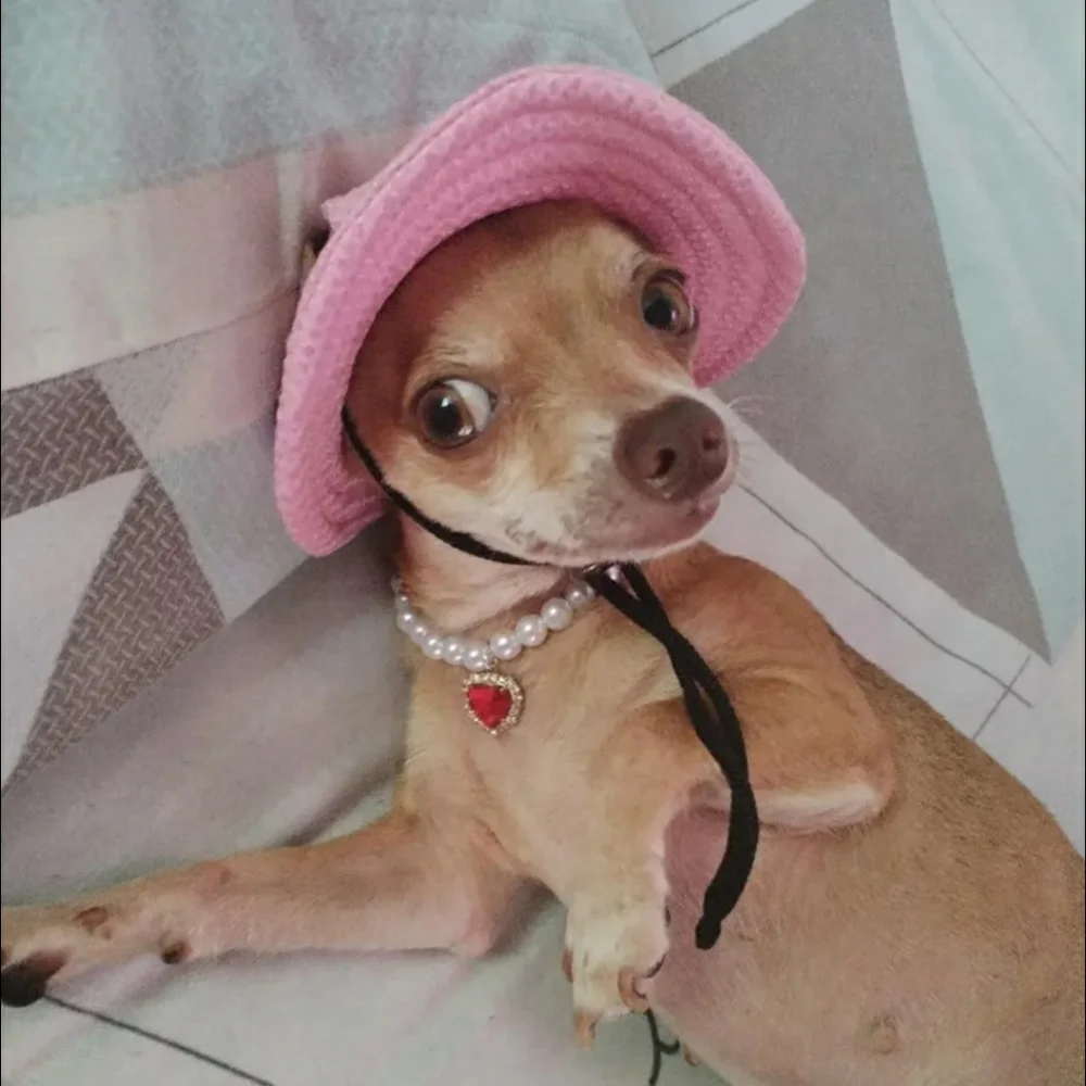 ⭐HOST PICK ⭐ PET NECKLACE